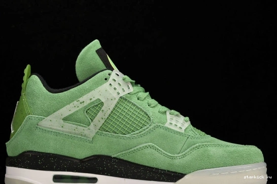 AJ4-904284 4 PE  Air Oregon Duck  Jordan Green AJ4-904284 1114